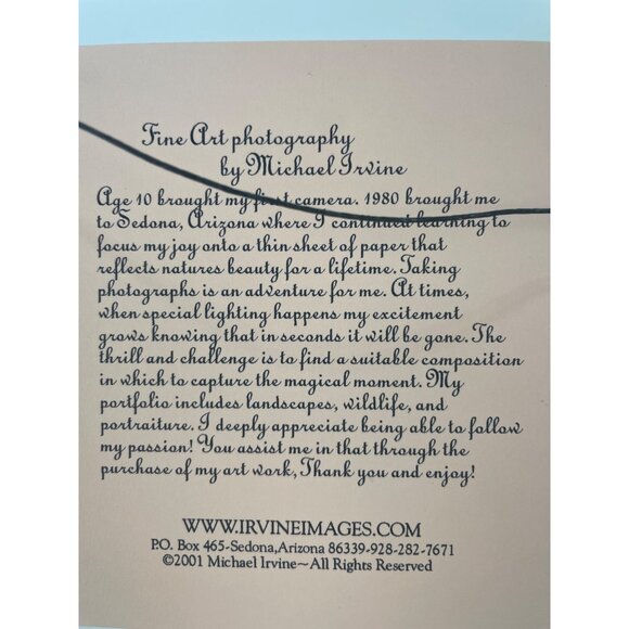 Spring Glow Sedona Color Photograph signed by Michael Irvine Stunning Scenic Fra - Picture 4 of 9